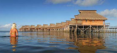 Flamingo Bay - 1